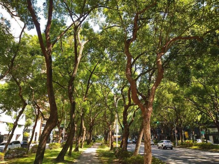 秋日漫步敦化南路林蔭 看見街角大師級公共藝術 秋日漫步敦化南路林蔭 看見街角大師級公共藝術