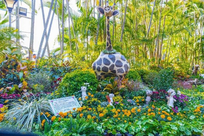 植物幻化為動物 菊展這些展館你看過了嗎? 植物幻化為動物 菊展這些展館你看過了嗎?
