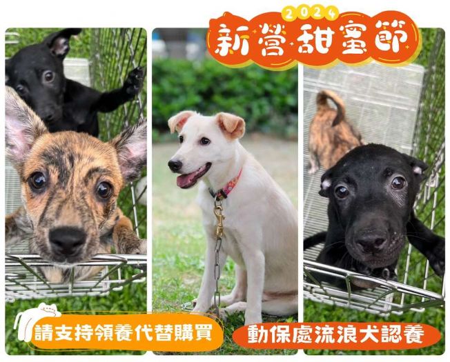 新營甜蜜節「寵叢奇遇記」11月30日南瀛綠都心公園登場 氣墊樂園、闖關遊戲、黃瑪瑪人偶見面會 要讓民眾樂翻天 新營甜蜜節「寵叢奇遇記」11月30日南瀛綠都心公園登場 氣墊樂園、闖關遊戲、黃瑪瑪人偶見面會 要讓民眾樂翻天