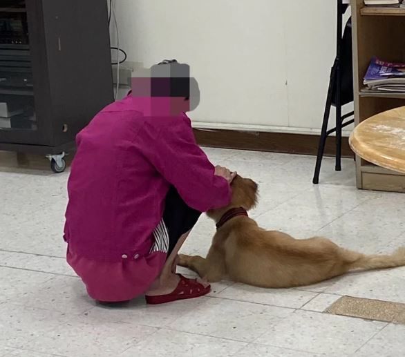 寵物犬小黃在台中榮總嘉義分院的精神病房中的溫情陪伴