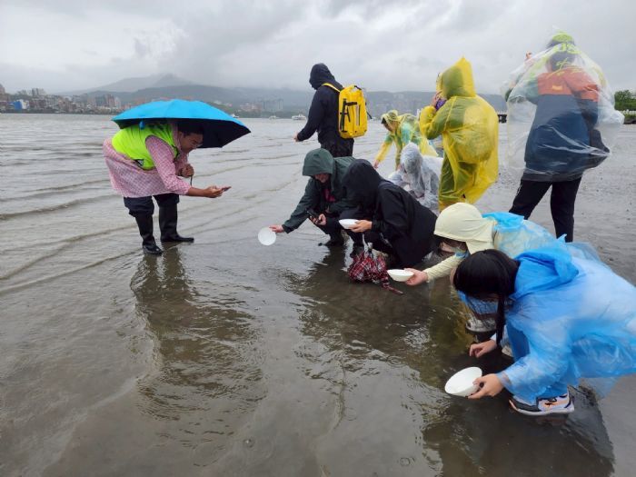 千隻鱟寶寶幸福回歸海洋！臺北市「鱟知鱟學」計畫激發學童永續守護的熱情