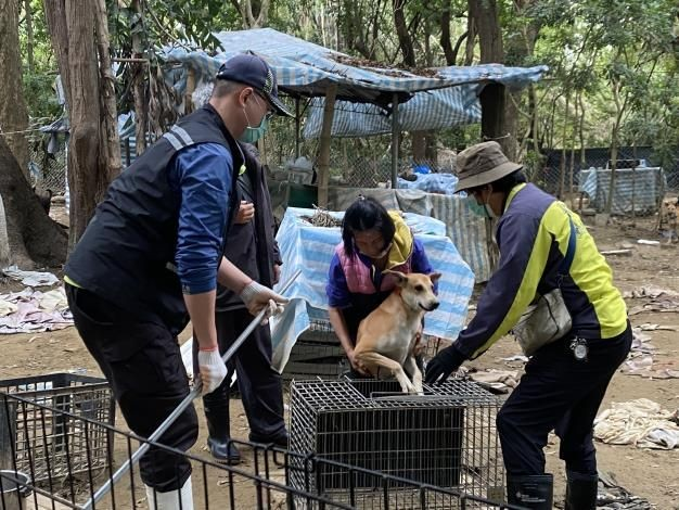 南區哈赫拿爾森林犬隻問題處理，攜手維護遊憩安全與森林環境
