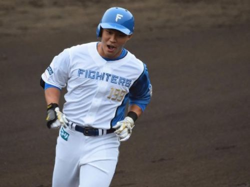 「大王」王柏融成為北海道火腿鬥士支配下球員 正式登上可支配名單