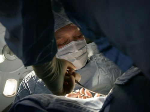 美科學家首次將豬肝移植到人體　成功過濾血液72小時