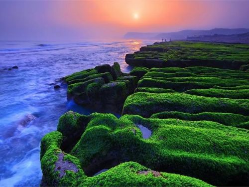 季節限定夢幻秘境｜老梅綠石槽探秘