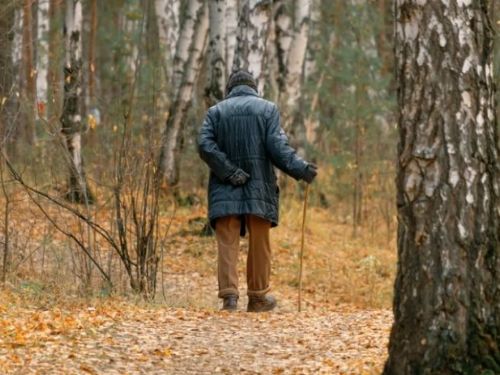 「15分鐘步行，延年益壽！」 義大利研究揭示：簡單運動最有效