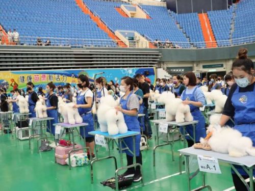 2024年苗栗國際畜犬展覽比賽及KCT北區聯合會犬展