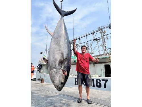 東港歡迎第一鮪！安穩發8號漁船捕獲今年首尾黑鮪