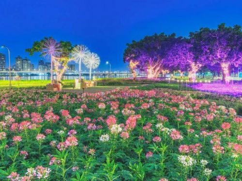 延平河濱夢幻花海迎聖誕 蒲公英燈夜景浪漫爆表