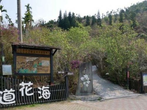 冬日暖陽適宜戶外踏青，到臺南登山吃美食賞美景