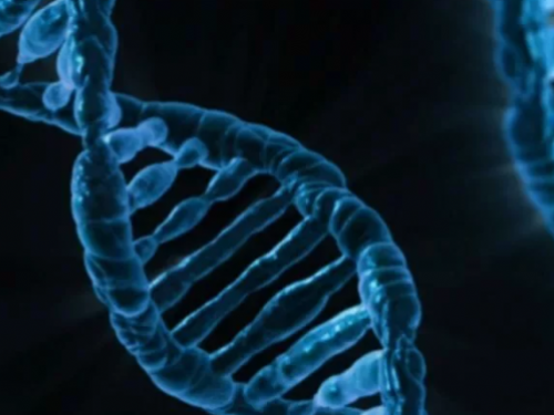 基因演化有好有壞 盼能用編輯技術攻克疾病