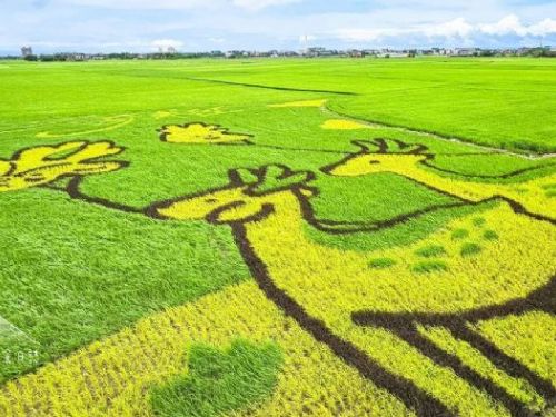 探索夏日風情：冬山三奇村美徑活動