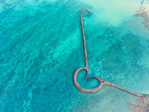 台灣永續發展喜訊連連：多項獎項榮耀加冕！