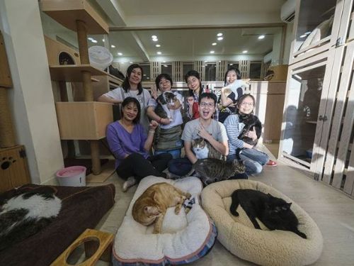 人喵汪，毛孩時代中的親暱關係