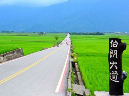 從7/1起，伯朗大道列為低排放區，未達標汽機車將面臨罰款