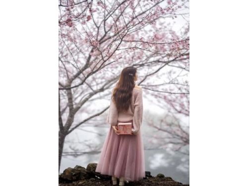 桃園秘境小屋：櫻花盛開！紅櫻、吉野櫻、富士與粉紅佳人同場登場