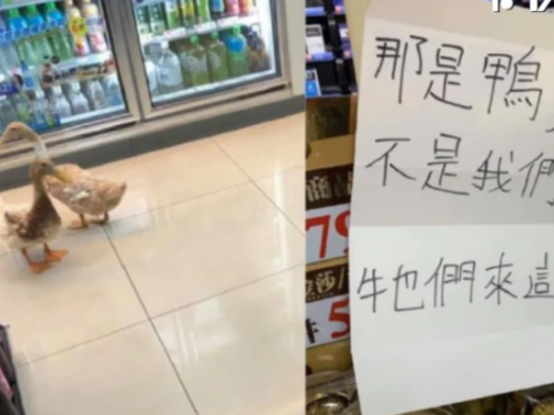 台灣便利商店成「動物避暑天堂」！可愛「不速之客」引爆網路話題