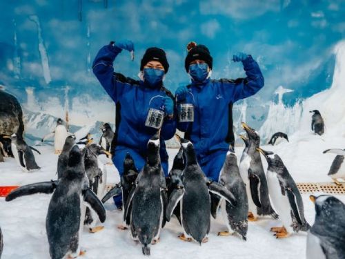 屏東海生館推出春節暢玩攻略  療癒海洋藍一次包色帶回家