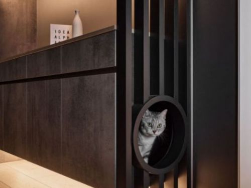 人寵共居，低預算DIY打造毛孩快樂宅