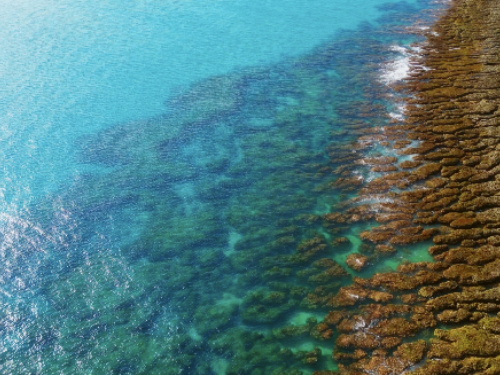 「屏東多向度」影片於坎城世界影展奪得最佳旅遊影片獎
