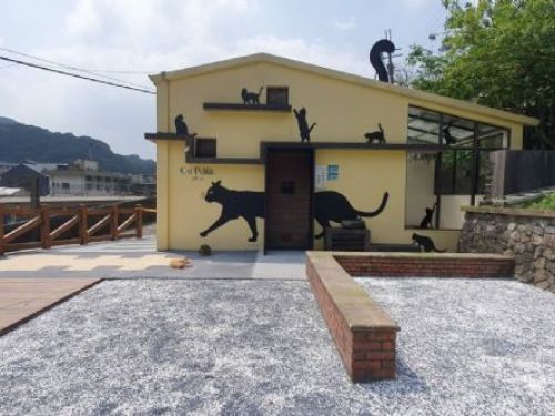 瑞芳猴硐貓村全面升級：新設施、新亮點打造貓咪天堂