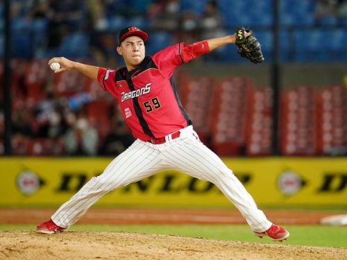 再續經典賽緣份：陳冠偉與陳禹勳的棒球兄弟情