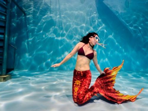 海科館超人氣「人魚減塑藝術劇場」六月起重磅登場