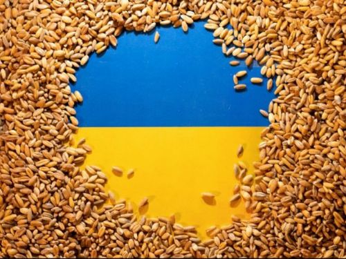 歐盟擬暫時限制進口烏克蘭穀物　資助受影響東歐農民