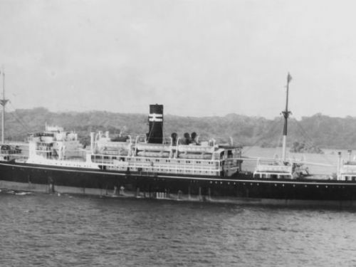 逾千人葬身大海　二戰日本戰俘船沉沒南海81年後尋獲