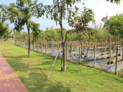 高雄市攜手荒野保護協會：社區韌性工作坊共創永續未來