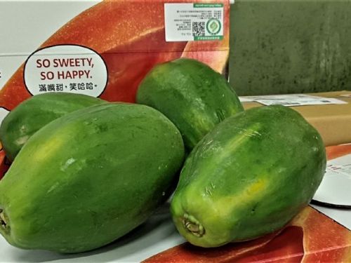 木瓜季節開始，迎接夏天的美好！