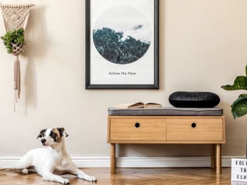 有毛小孩的家，空間建材這樣挑