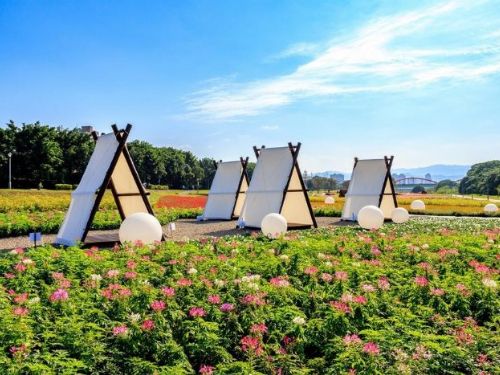 「古亭花海」盛大開放！夢幻花海、燈光秀打造浪漫春日景緻