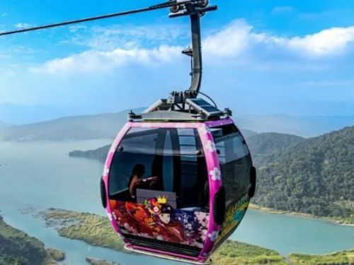 2024「5000株」九族櫻花季盛大來襲！獨家雪櫻、櫻花女王號纜車，還有令人期待的「YOSAKOI舞蹈快閃」