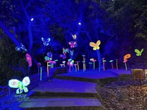 屏北1/23~2/25大津瀑布步道璀璨試燈  一探如童話般的夢幻秘境