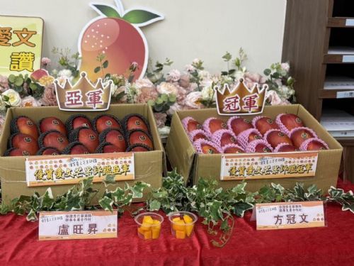 114年屏東縣優質愛文芒果評鑑揭曉，冠軍方冠文再創佳績，屏東芒果季歡迎全台熱情選購