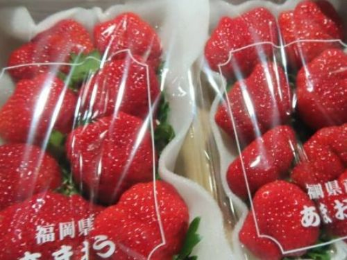 草莓季節來臨！ 食藥署揭曉邊境檢驗不合格名單