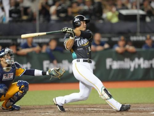 台鋼雄鷹奮戰臺北大巨蛋 | 迎戰中信兄弟