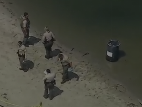 驚悚！好萊塢明星居住地馬里布海灘現男屍，警方展開調查揭真相！