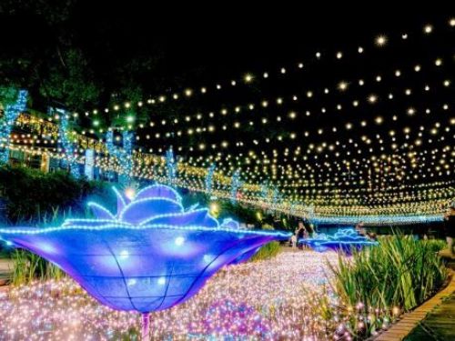 「愛心光廊」：5公尺高光雕展，為情侶加溫！新莊中港大排限定美23天，上百萬顆LED打造最新約會景點