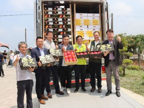 屏東的芒果魅力：冷鏈加工廠啟用