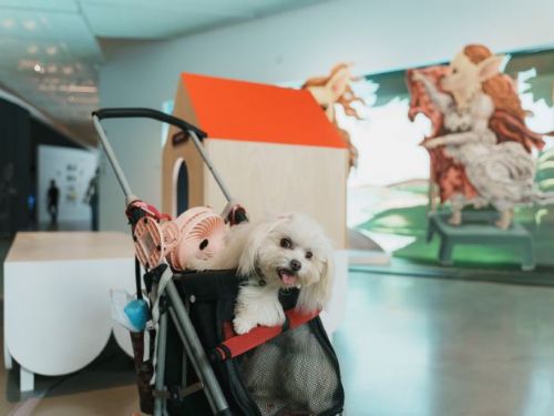 感謝內惟藝術中心帶來滿滿「吉犬」的夏天