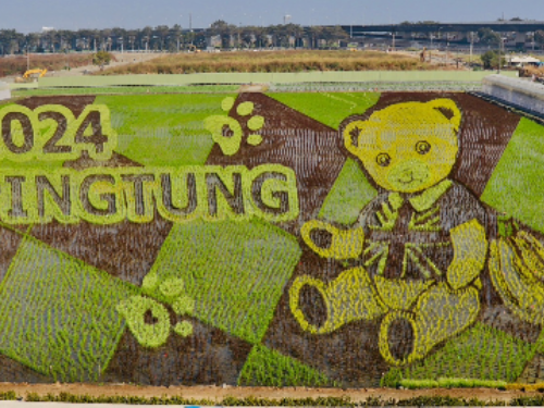 2024歐風彩稻來襲 泰迪熊屏東走春大驚奇