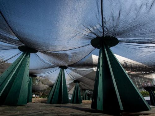 北美館開展《林木林》：城市中的奇幻森林