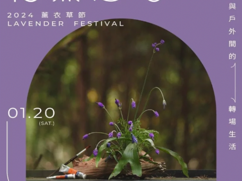 2024年「薰衣草盛會」隆重開幕！豐富導覽、美拍、美食一應俱全，兒童免費入場！