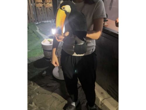 動物保護處查獲違法動物展演，臺北市寵物餐廳遭罰款