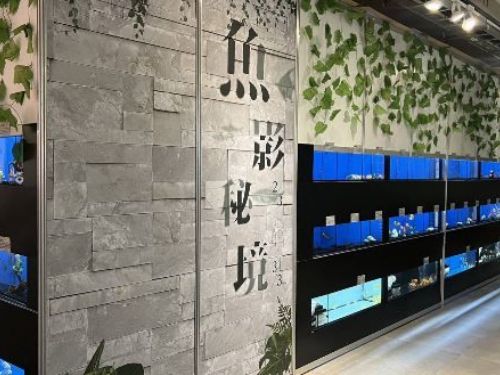 屏東熱帶農業博覽會展區「魚影秘境」：沉浸式繽紛海底世界