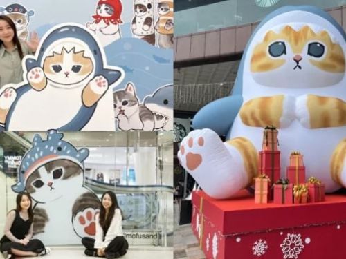 好大一尊！「6米巨型貓福珊迪」坐鎮台中 加碼「軟萌快閃店」打卡限定海洋世界