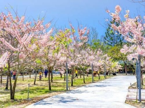 春遊臺南精采連連　四天連假玩好玩滿