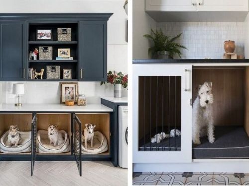 打造舒適愛寵宅，讓家人與毛小孩安心共居